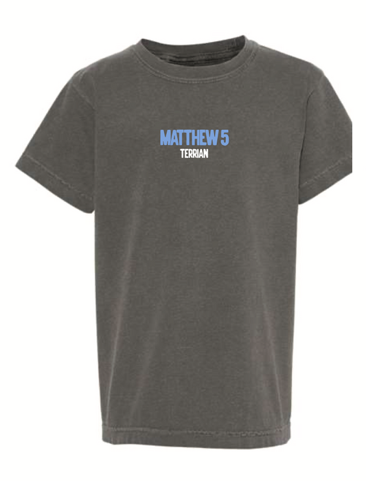 Matthew 5 Gray Tee