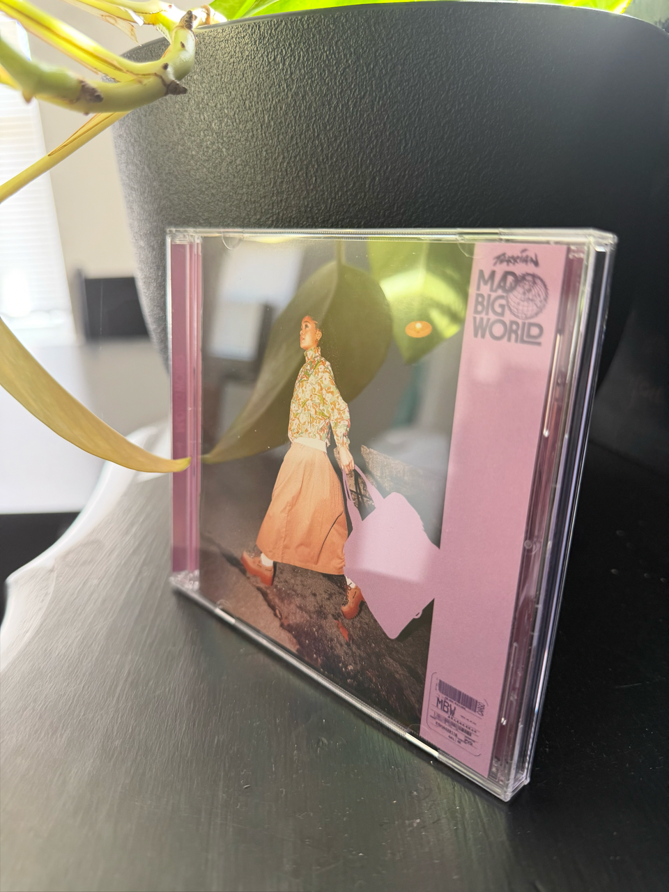 Mad Big World CD