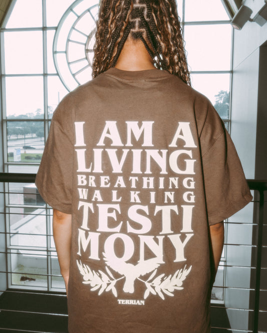 Testimony